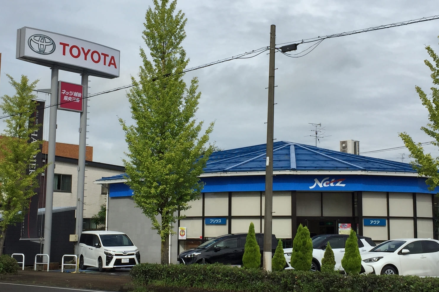 県央三条店